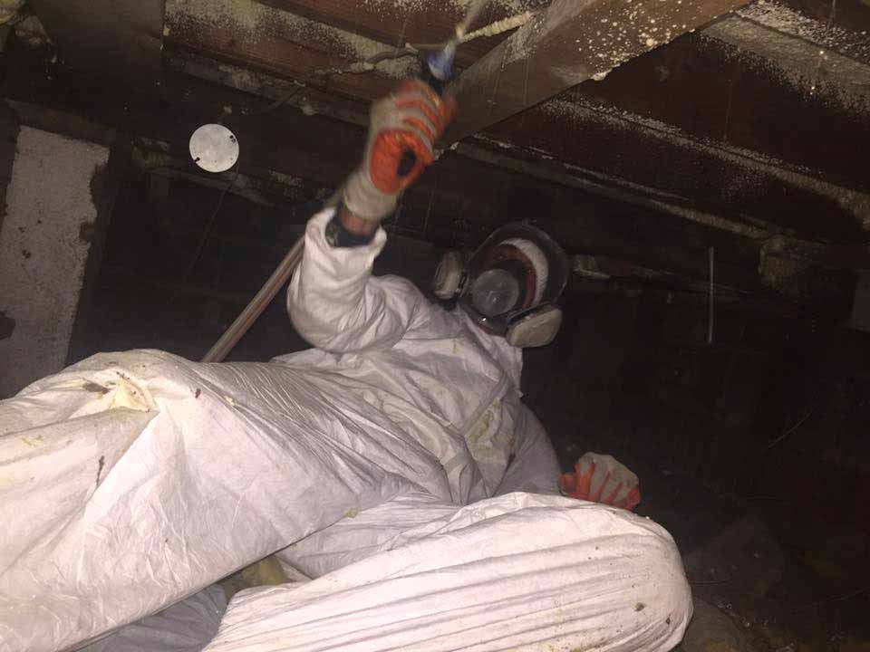 insulation-attic